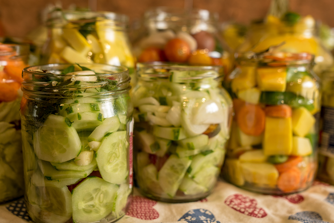 What is the Difference Between Fermented and Pickled